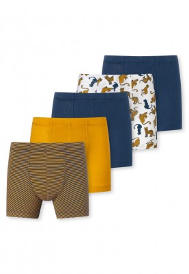 Jongens shorts 5pack 177066909