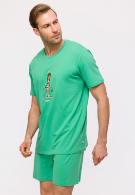 Heren Pyjama groen...